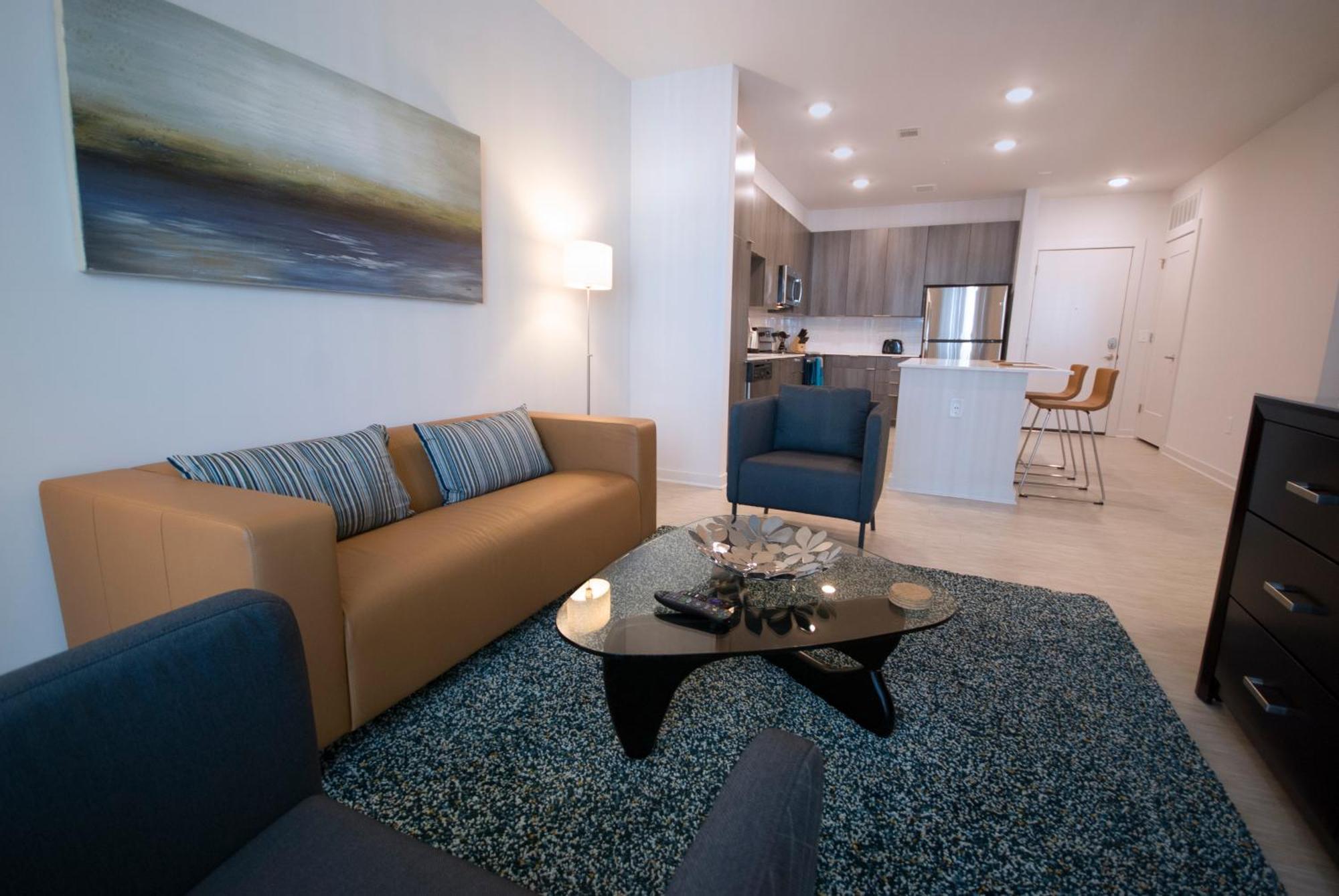 Spectacular Apartments By Bca Furnished Apartments Atlanta Rum bild