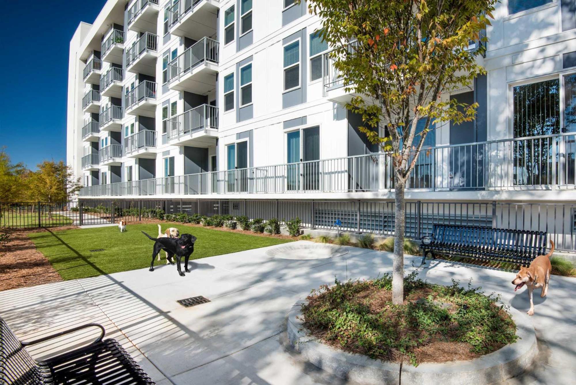 Spectacular Apartments By Bca Furnished Apartments Atlanta Rum bild